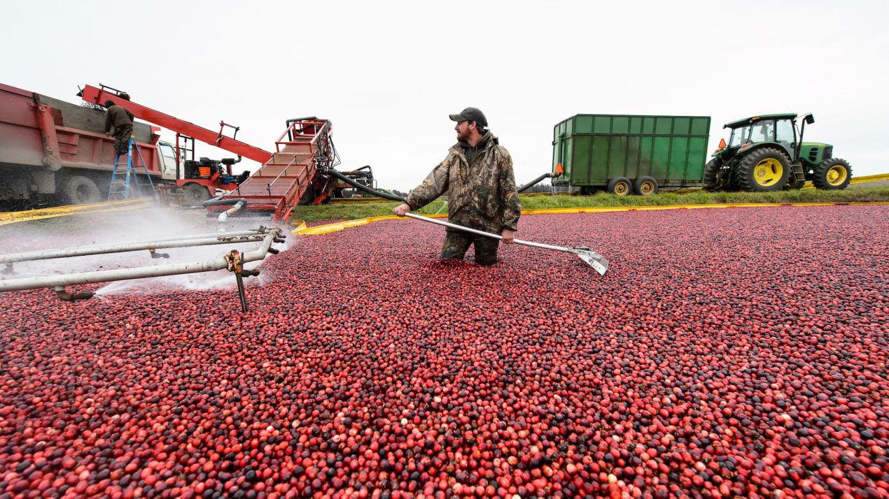 Retaining, Strengthening The Cranberry Workforce