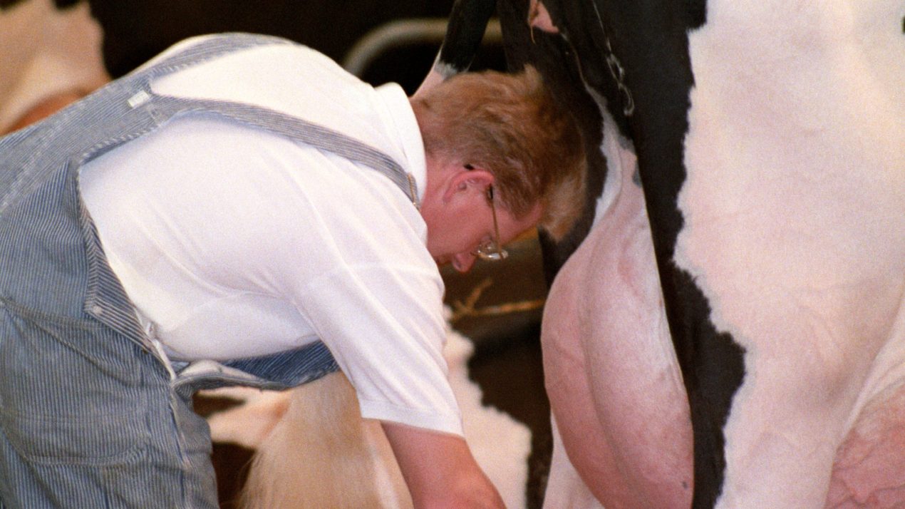 National Holstein Convention The Latest Cancellation