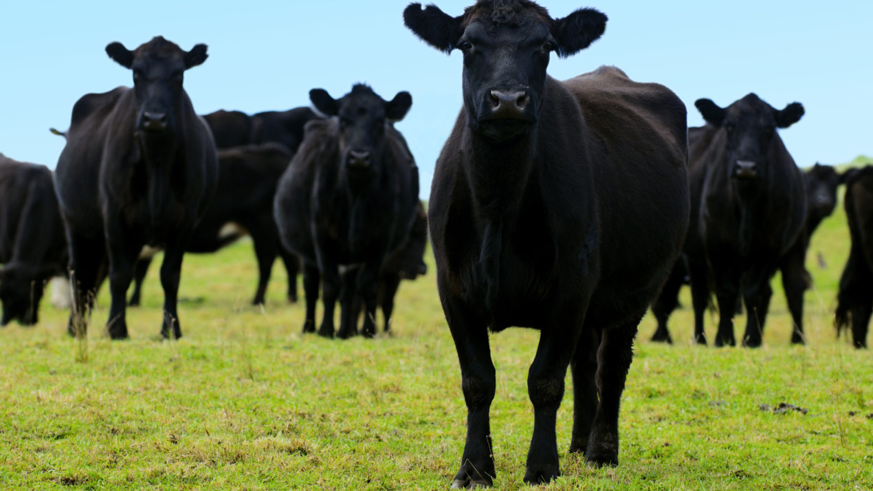 More federal aid going to farmers