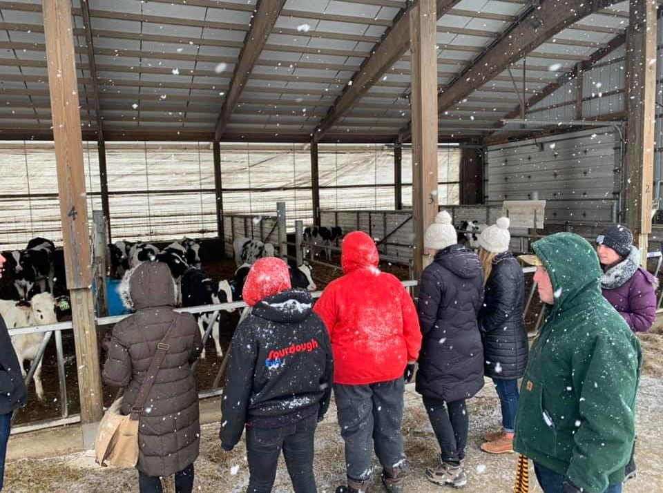 Daily Distraction: Harvard Law Students Visit Wisconsin Dairy Farm
