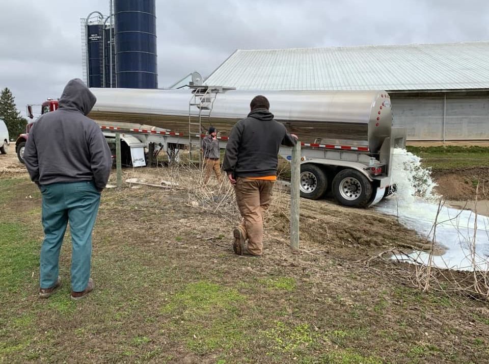 That’s Right – No Milk Dumping Officially Reported By Farmers