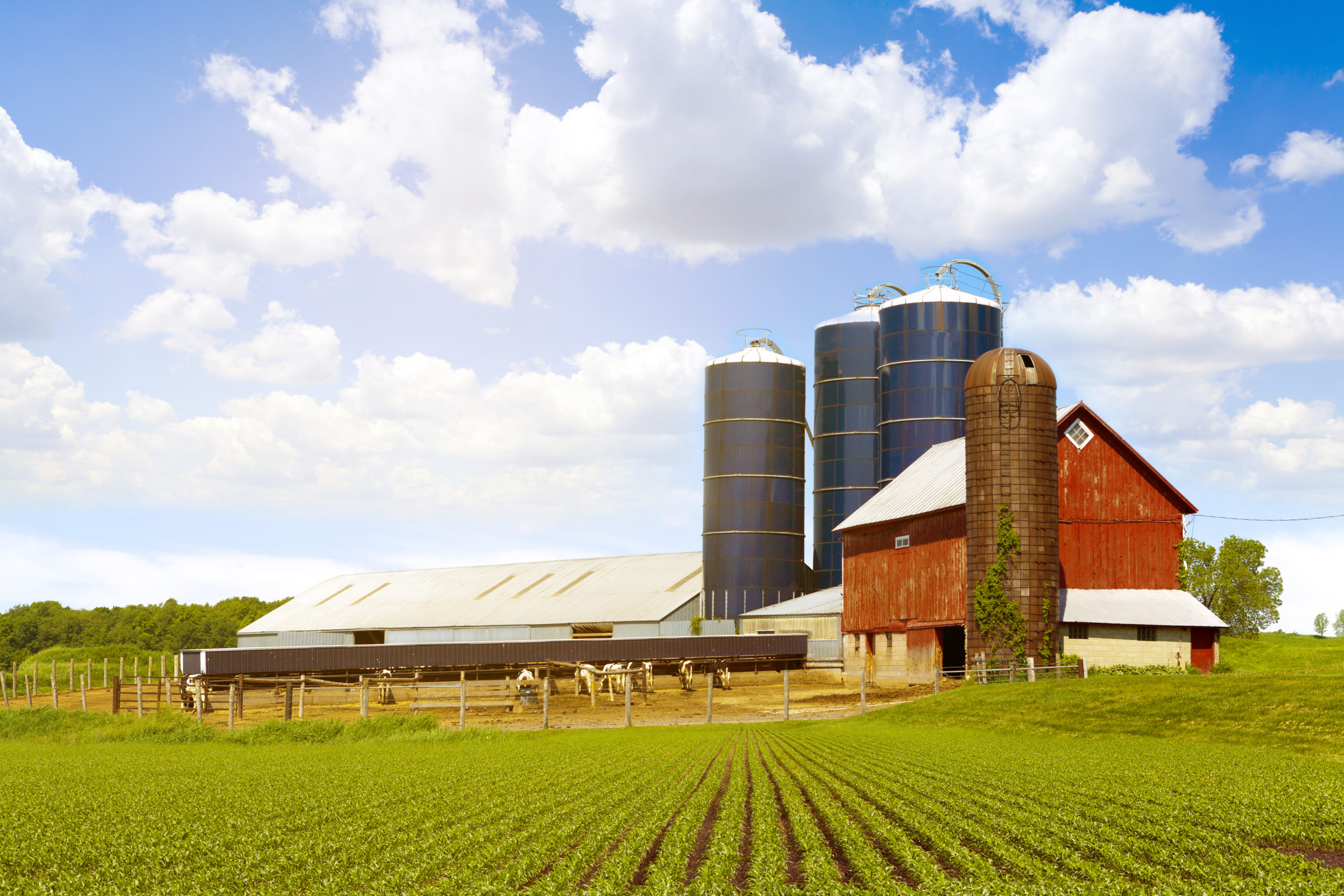 435,700 Jobs Provided by Wisconsin Agriculture MidWest Farm Report