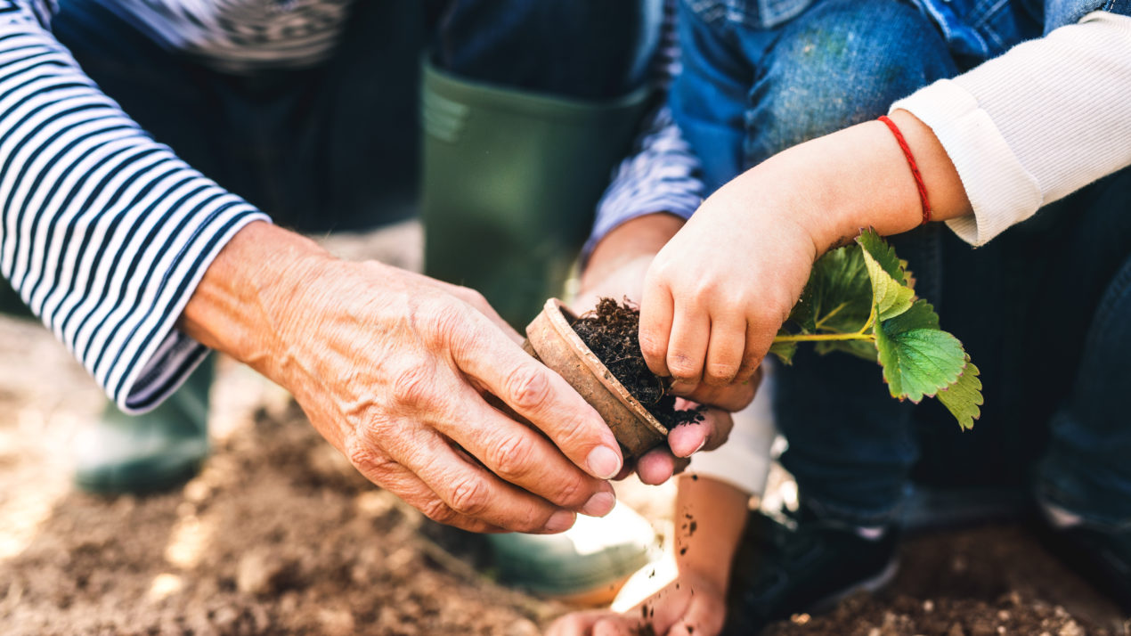 Keep Your Green Thumb Up