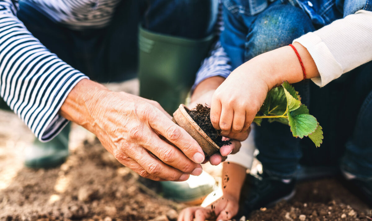 So You Think You Can Garden?