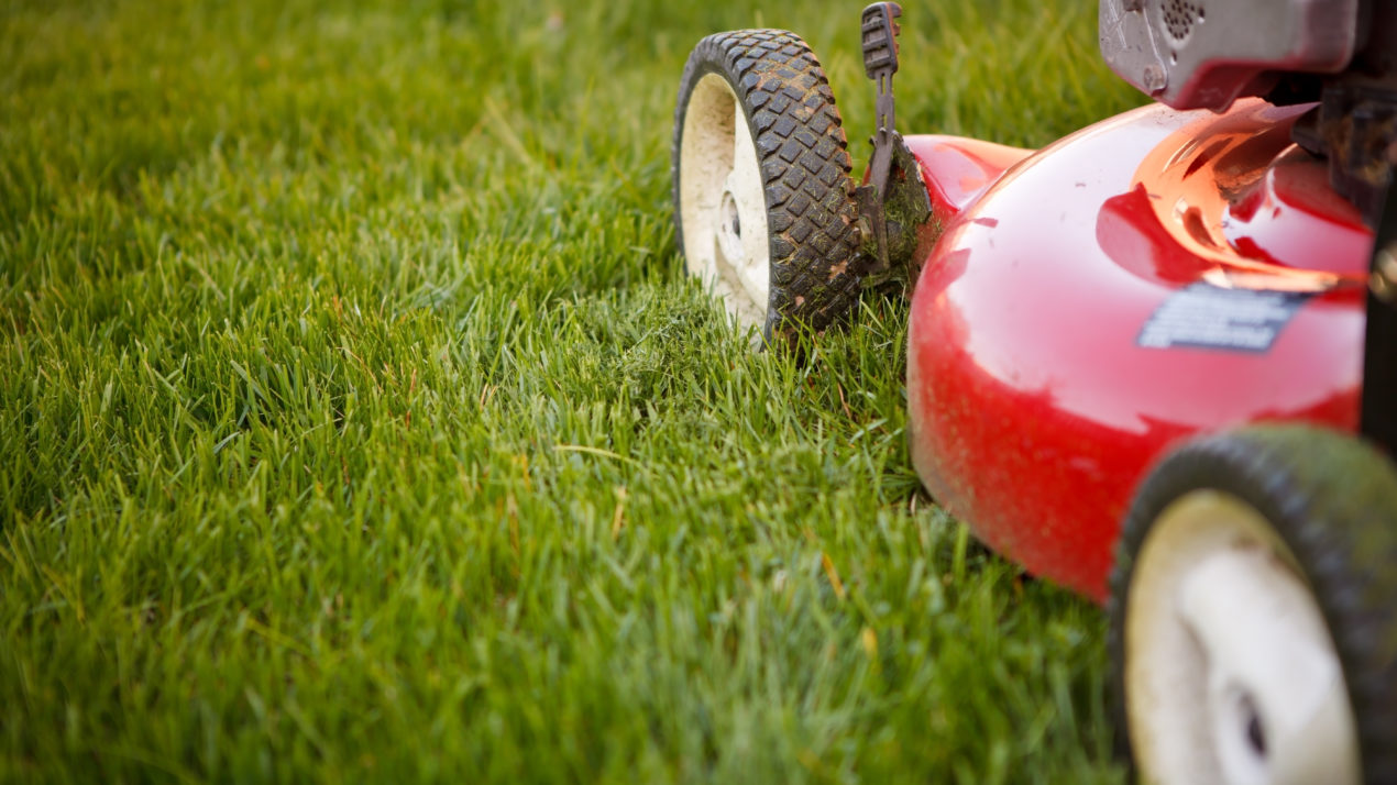 3 Easy Tips For A Perfect Lawn