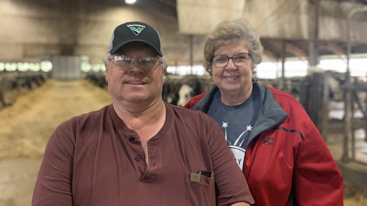 “It’s an Industry That We’re Missing Out On”- Dairy Farmer Focuses On A2 Market