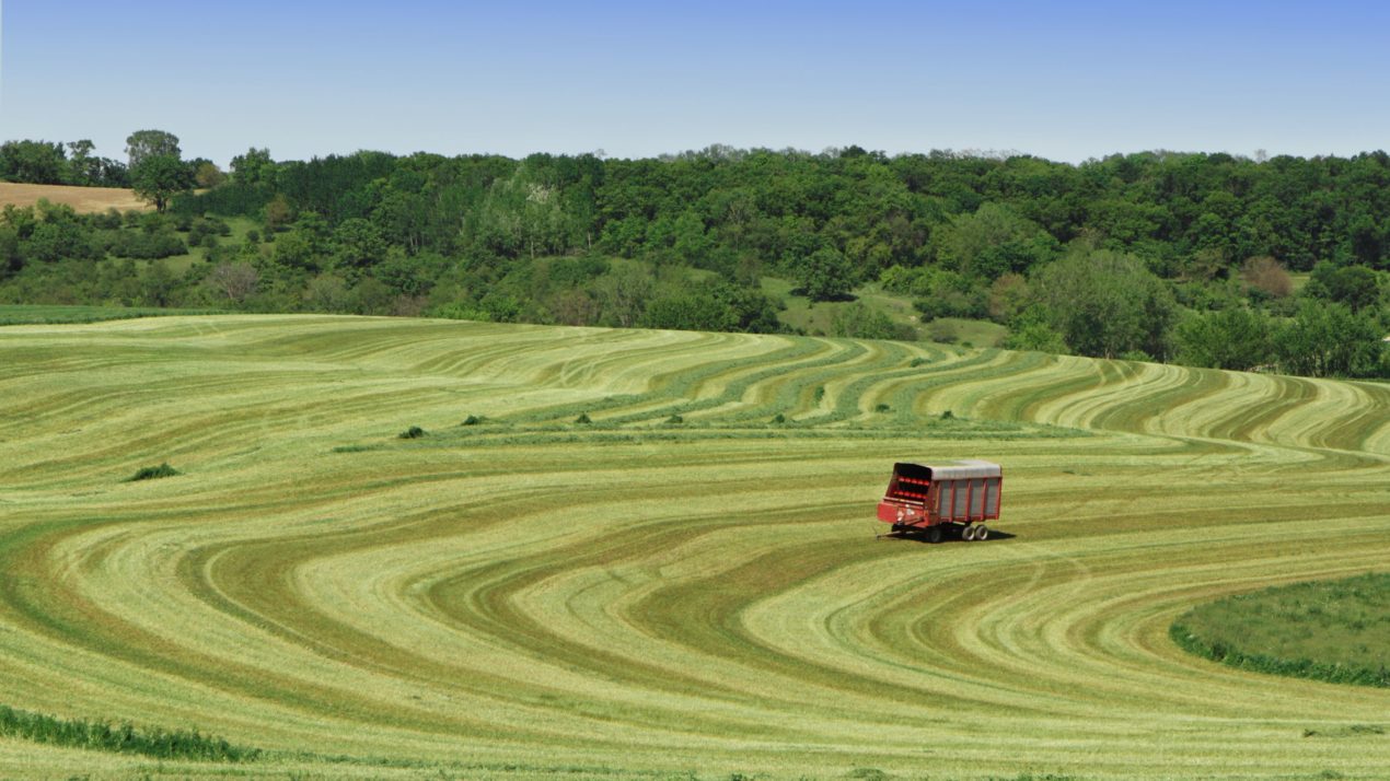 Farm Real Estate Values Drop a Bit, But Remain Strong