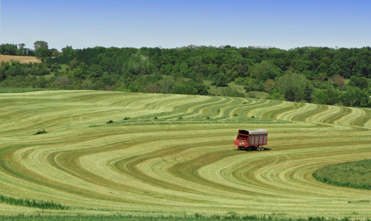 Webinar Focuses On CFAP2 Aid For Alfalfa & Hay