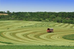 Webinar Focuses On CFAP2 Aid For Alfalfa & Hay