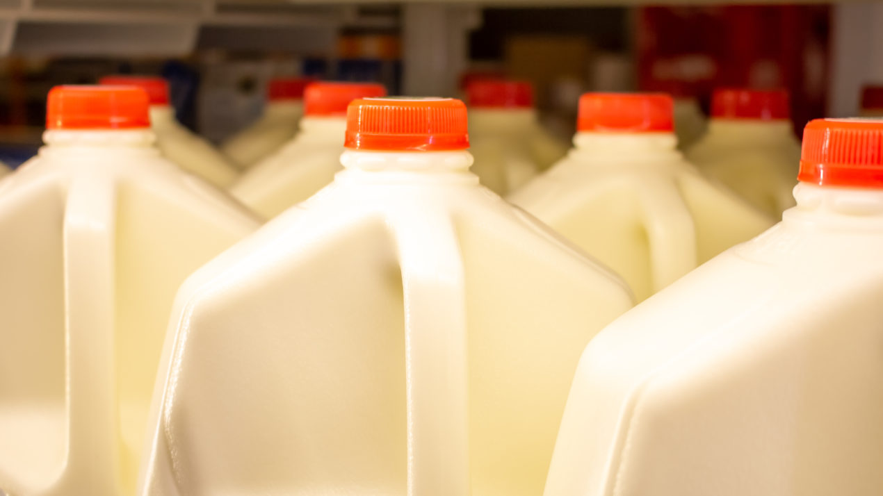 Rising Milk Sales Bust “Death of Dairy” Myth
