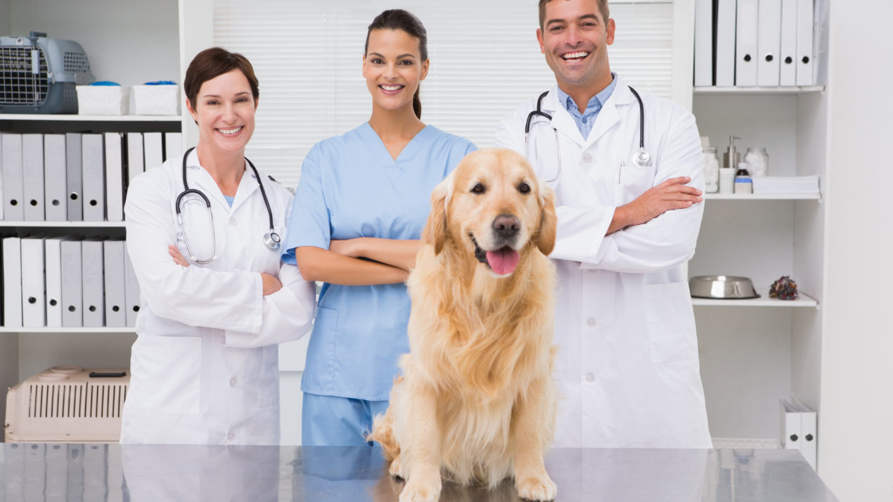 Tele-Medicine for Pets – a Service That Will Continue After COVID-19