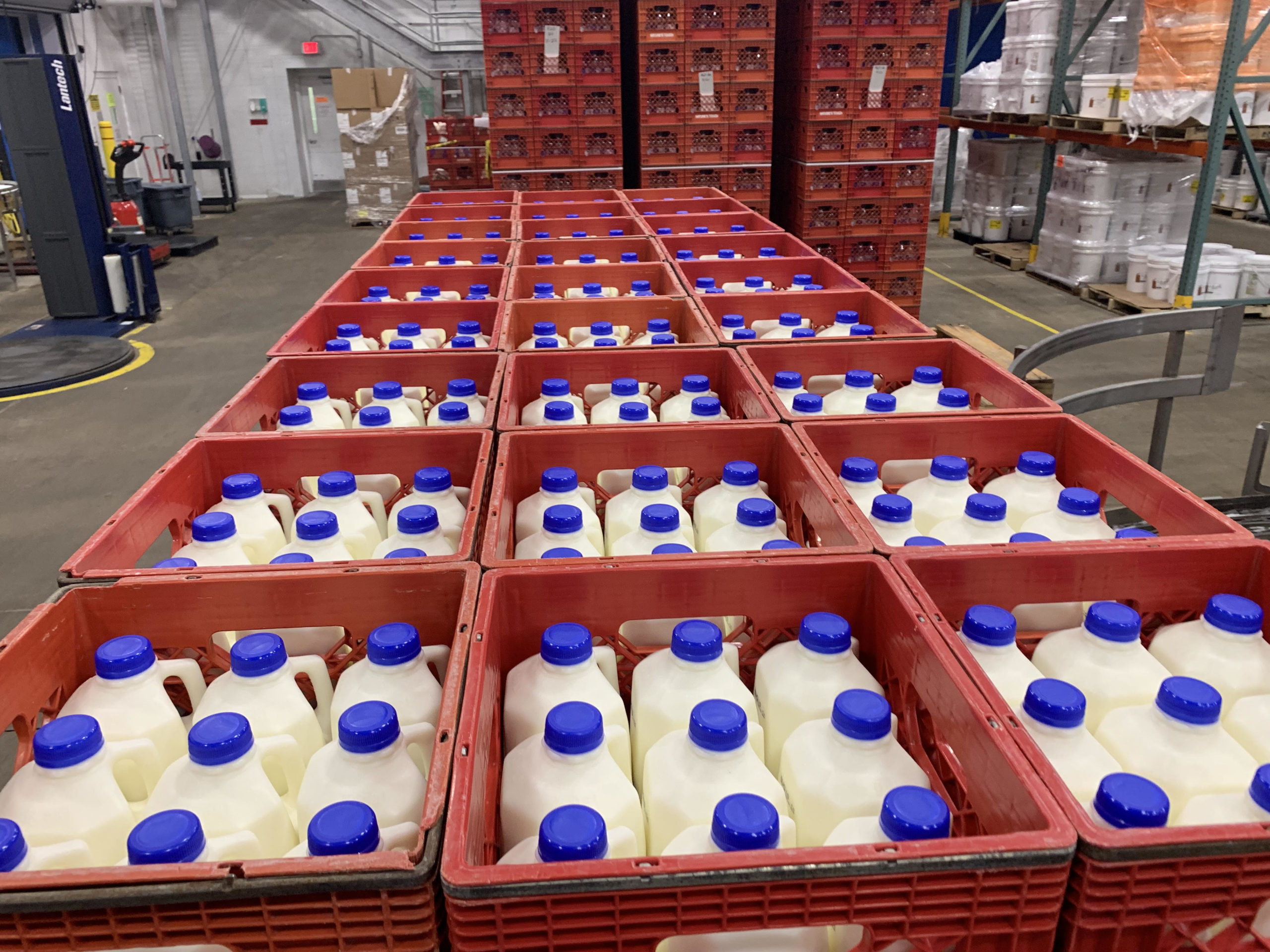 Free milk for Wisconsinites from Kwik Trip and State Farm MidWest