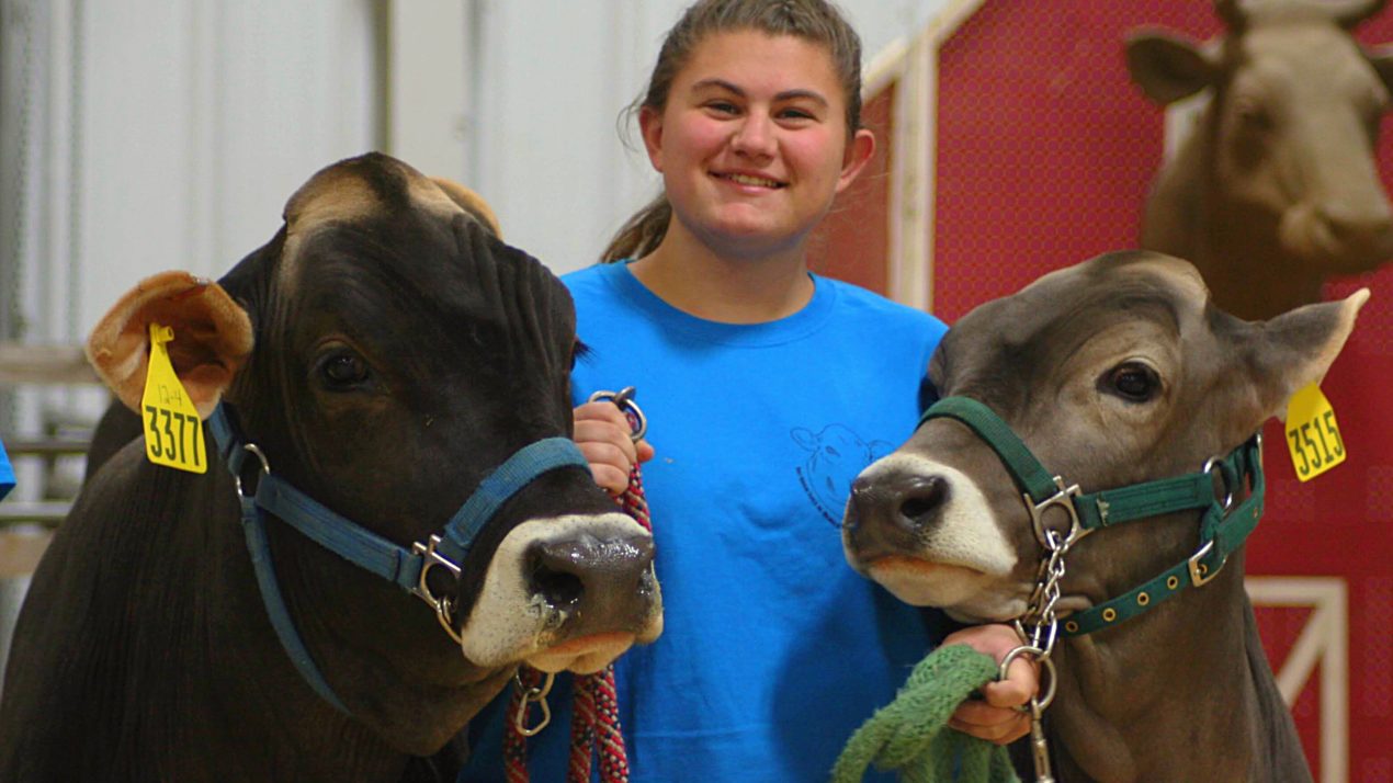 Brown Swiss Cattle Breeders’ Association Announces Scholarship Winners