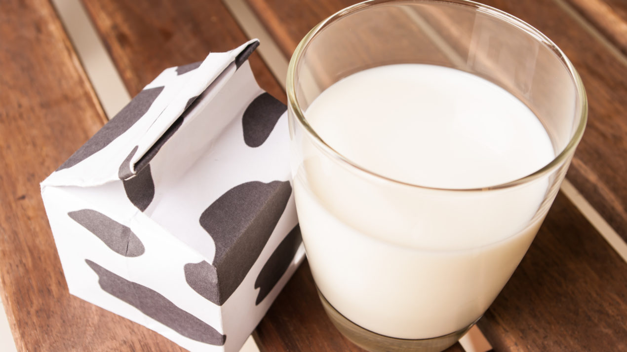 Dairy Coalition Concerned Whole Milk Will Be Banned From Schools