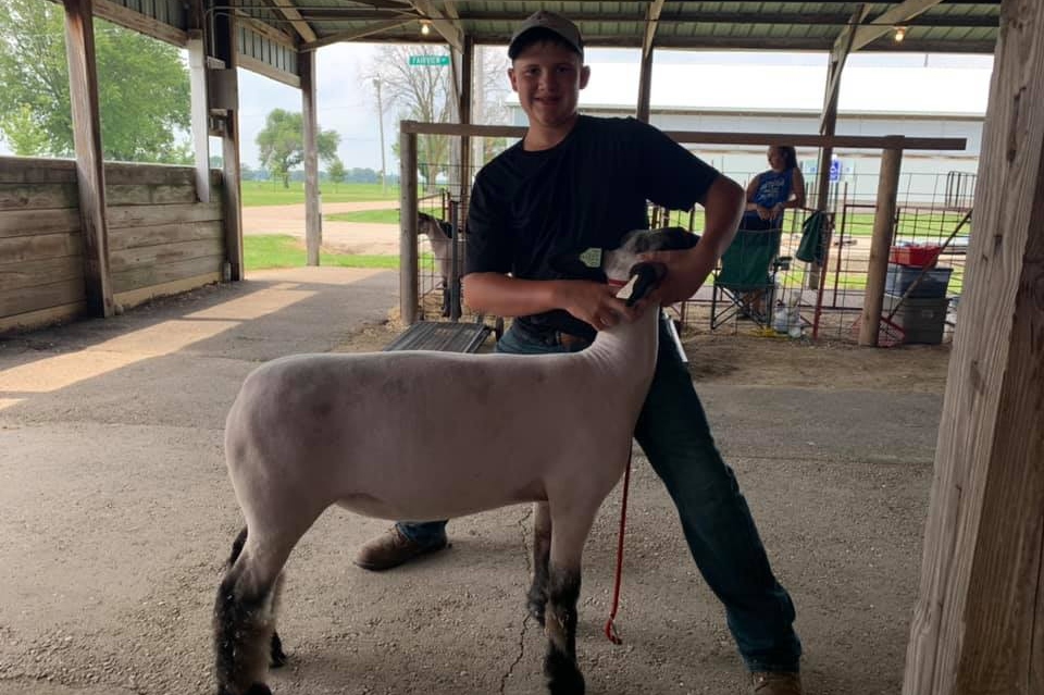 Dodge County Livestock Show Brings Weekend of Normalcy for Fair Kids