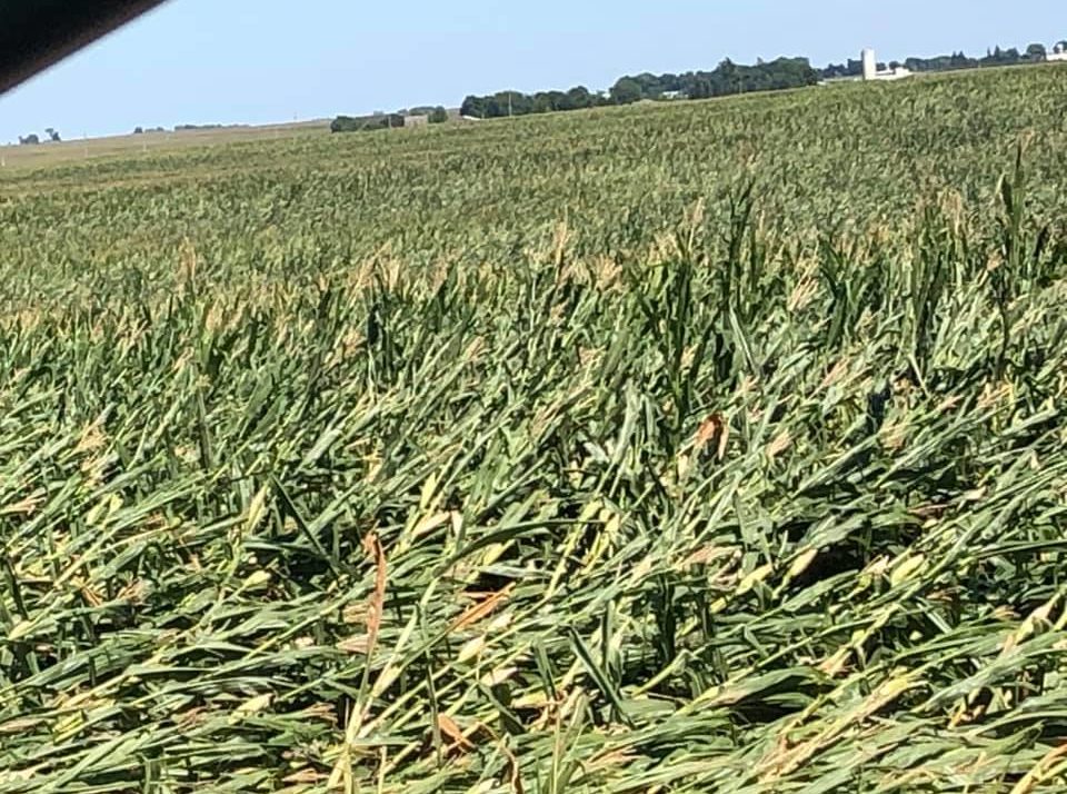 Iowa storm takes toll on crops’ progress