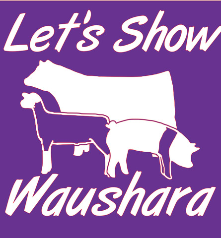 Let’s Show Waushara Launches