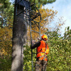 DNR Urges Hunters To Wear A Harness While Using Treestand This Fall