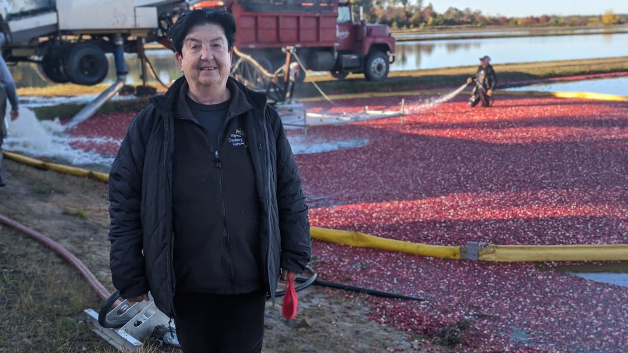 Wisconsin cranberry growers are optimistic for an excellent harvest and new health studies