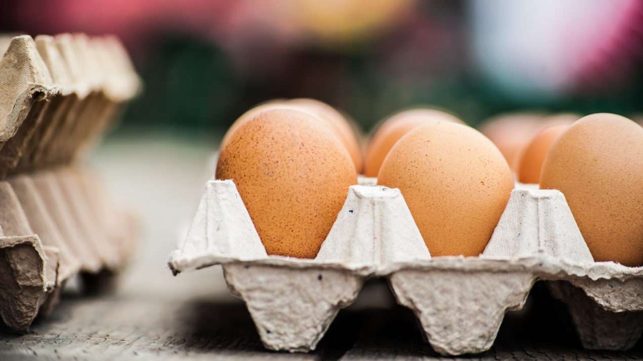 State’s Egg Output Drops 5% in September