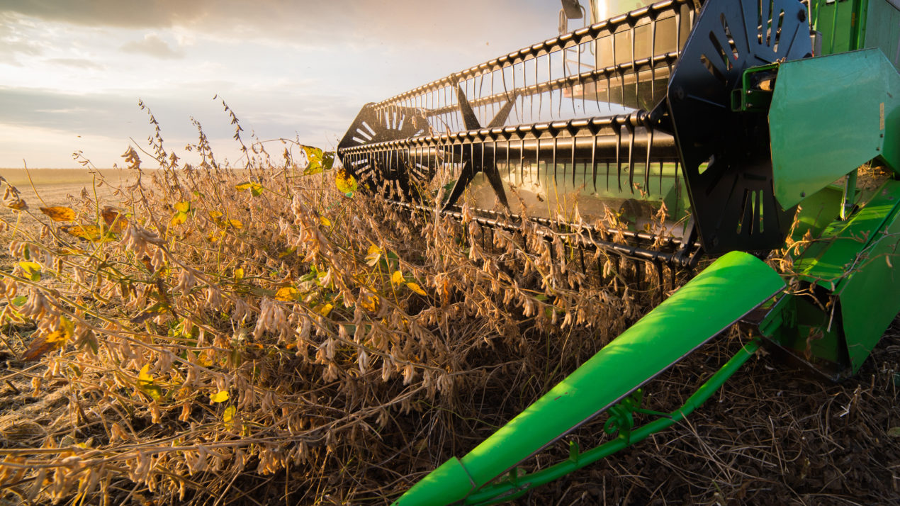Soybean Harvest Moving at Rapid Pace