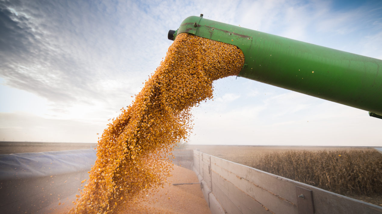 Wisconsin Farmers Prepare to Tackle Enormous Crop