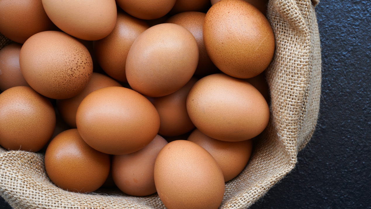 Egg Production Rises 4% in October
