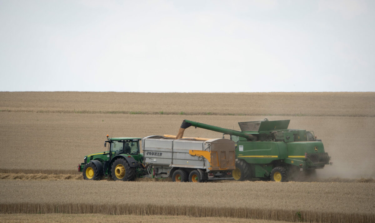 Crop Insurance Guidance Amidst Harvest Challenges