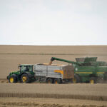 harvest - insurance -A,Tractor,Transports,The,Ripe,Golden,Wheat,To,The,Grain