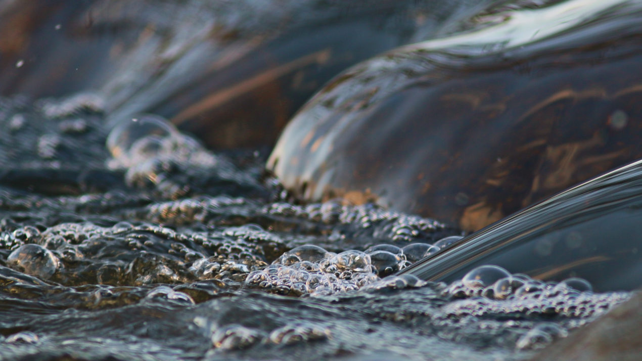 Little Plover River Watershed Enhancement Project Exceeds Expectations