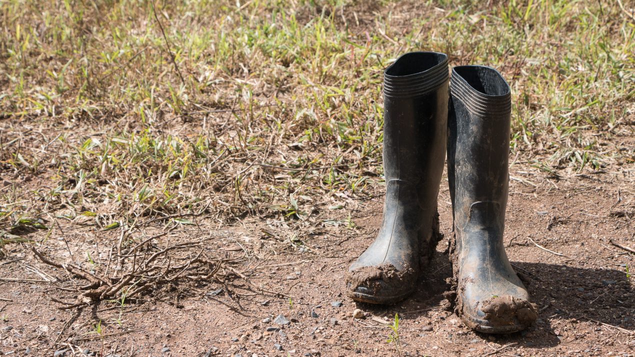 Rain Brings Soil Compaction Risk – How Long Do You Wait?