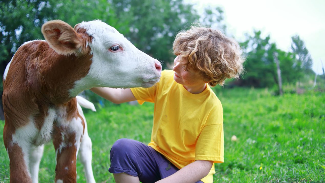Keeping Kids Engaged In Livestock Learning