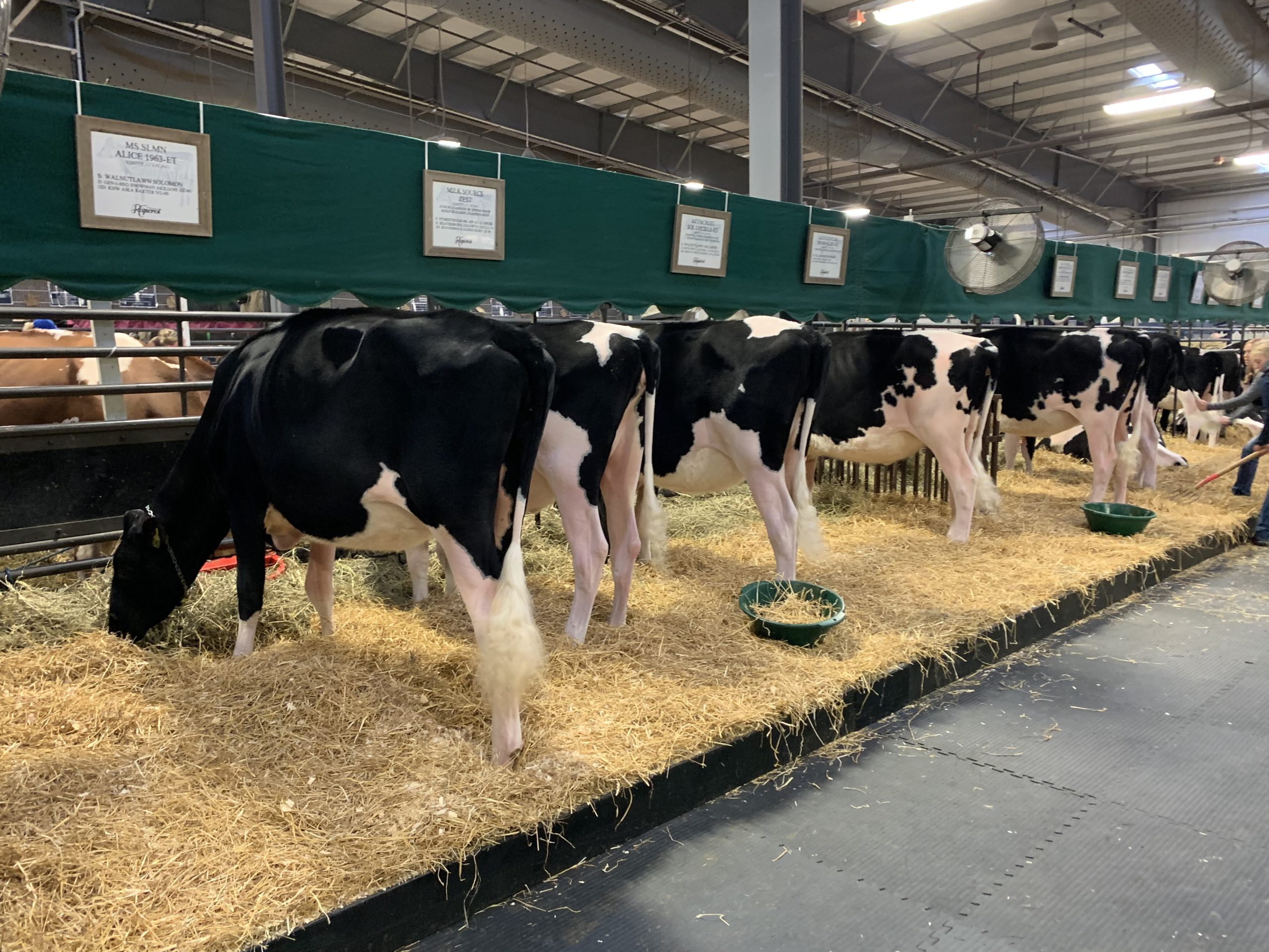 Dane County Offers 10 Year Contract Extension to Keep World Dairy Expo