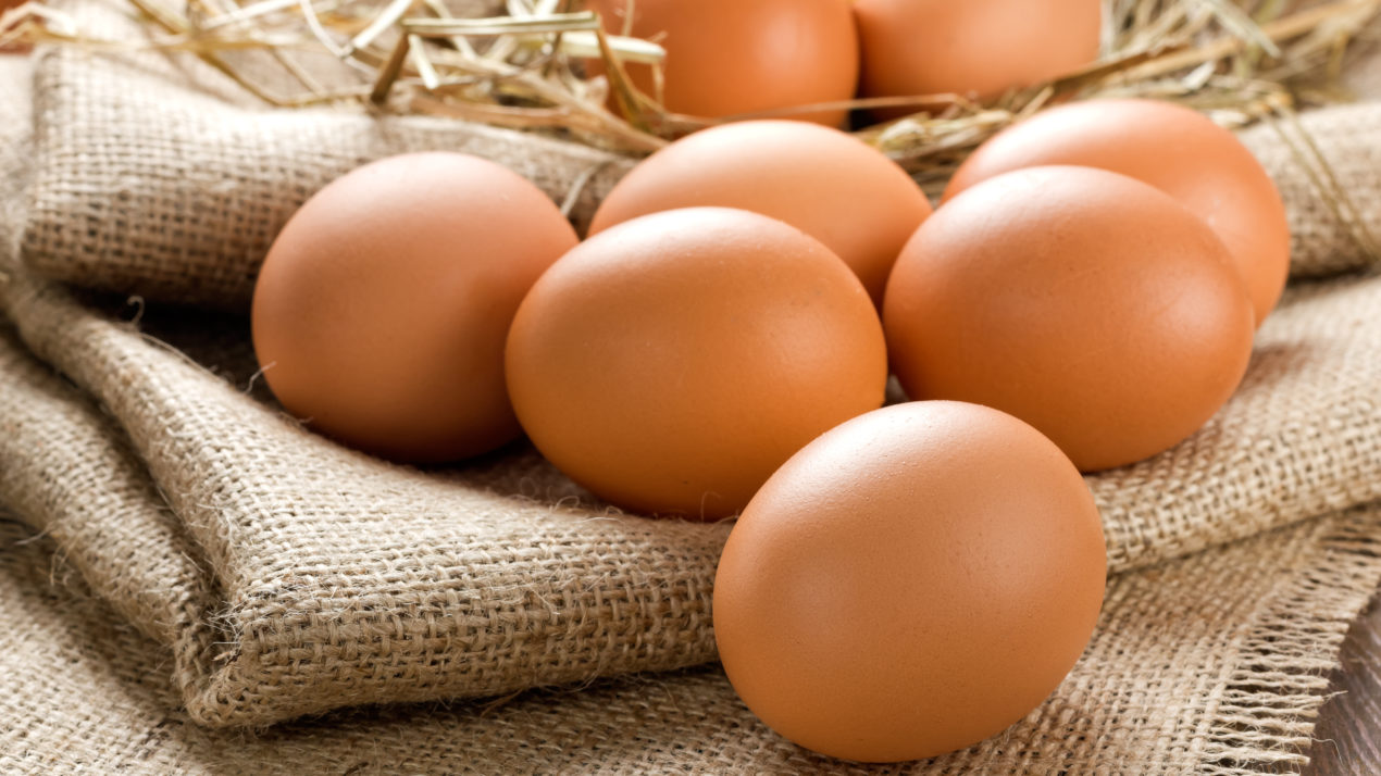 Egg production dips 8% in February