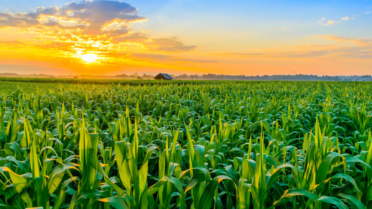 Nilsestuen legacy event addresses climate change impact and adaptation in rural communities