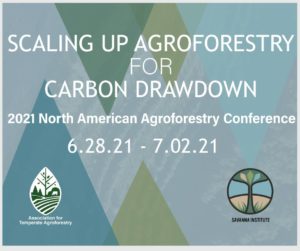 Agroforestry For Carbon Drawdown