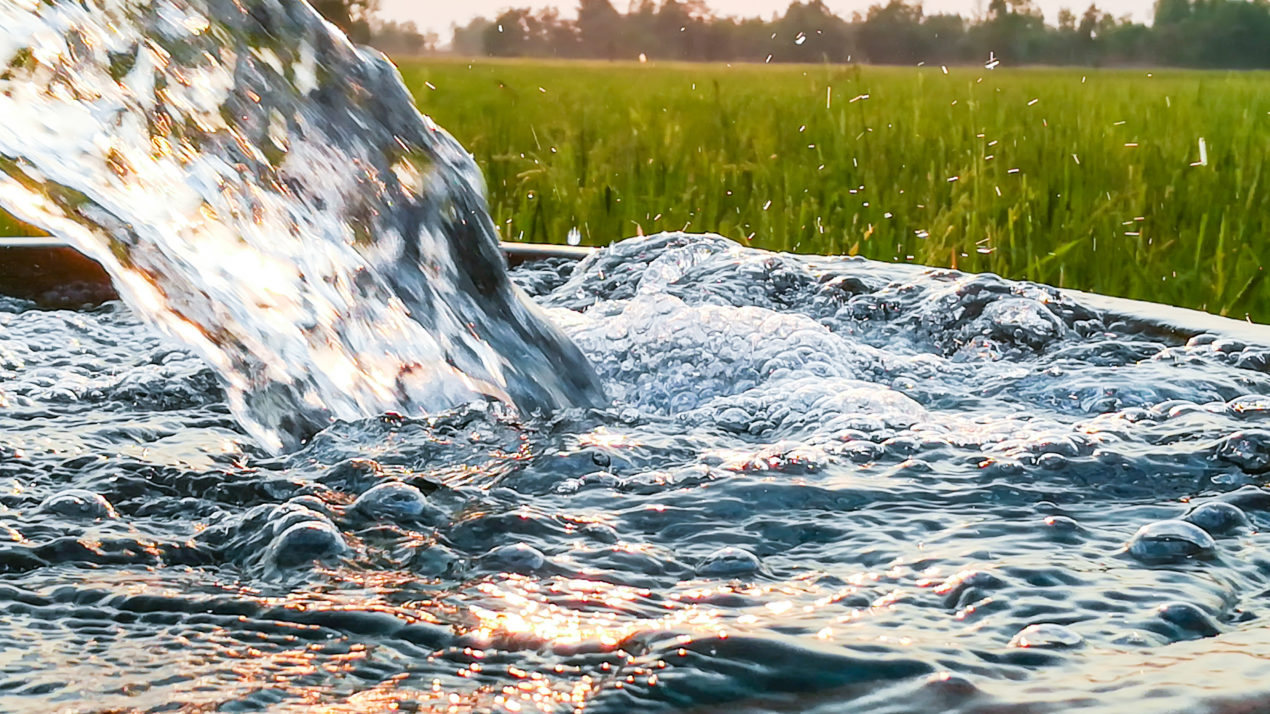 Four Legislators Get Water Award