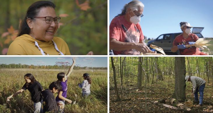 Wisconsin Tribal Conservation:  Stewardship for the Future