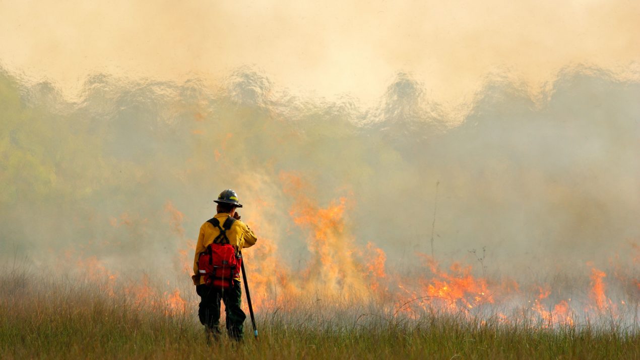 Recent Storms Increase Wildfire Risk