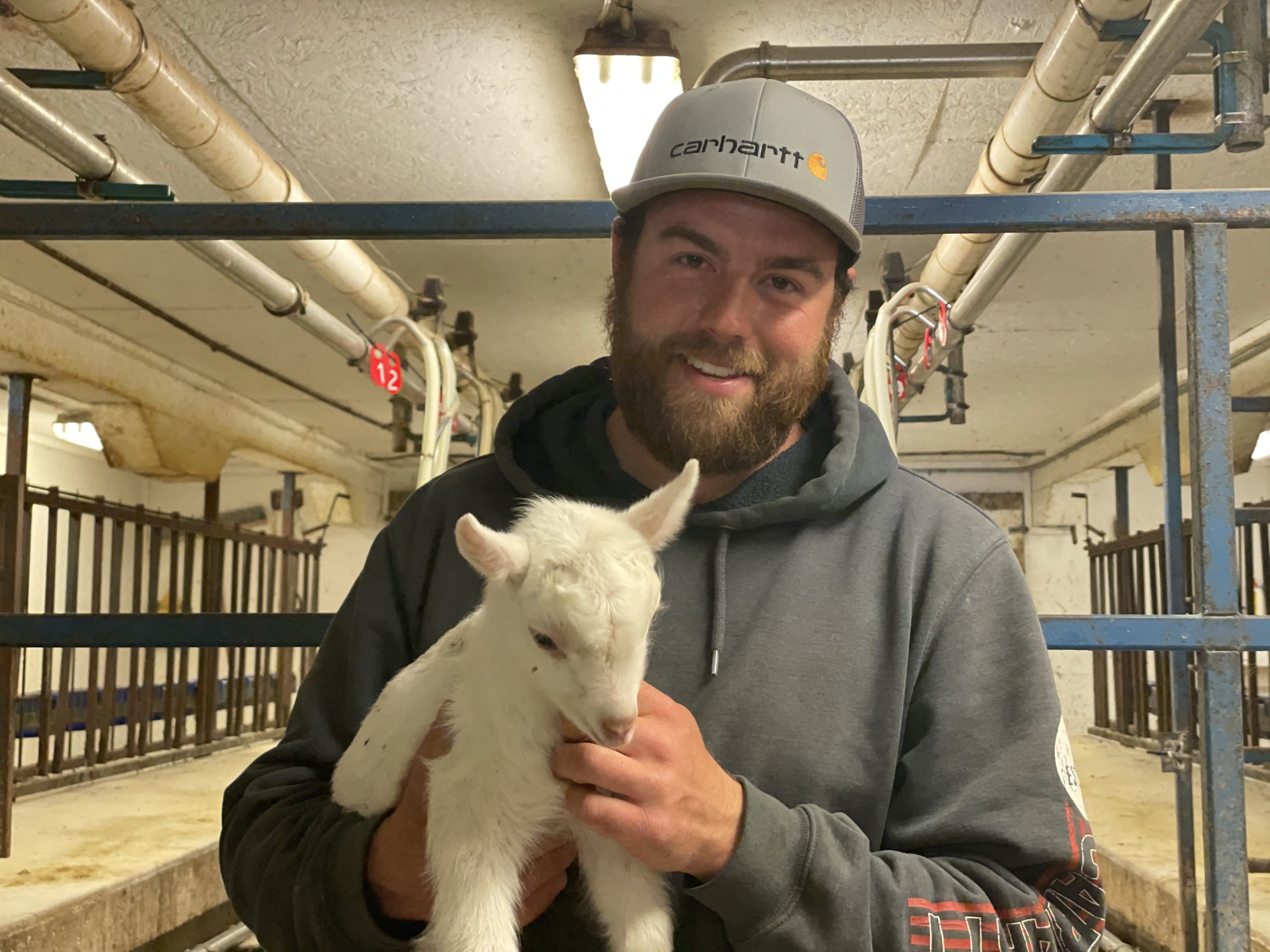 Dairy goat industry is strong in Wisconsin MidWest Farm Report