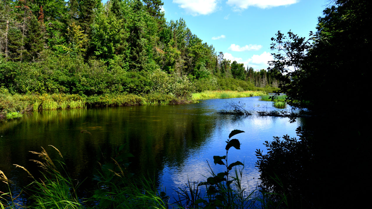 Dairy Alliance Monitors Potential Hydrogeologist Position