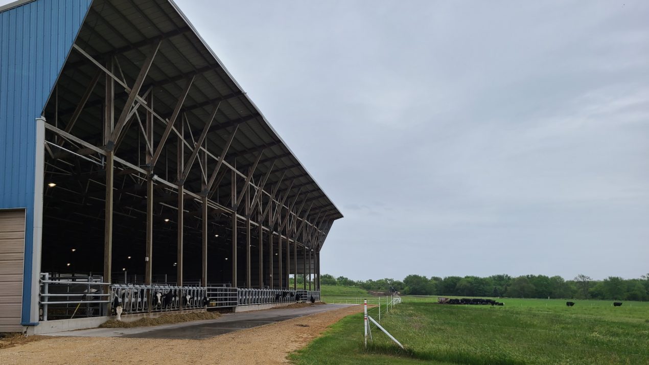 Focusing On Cattle Reproduction And Profitability