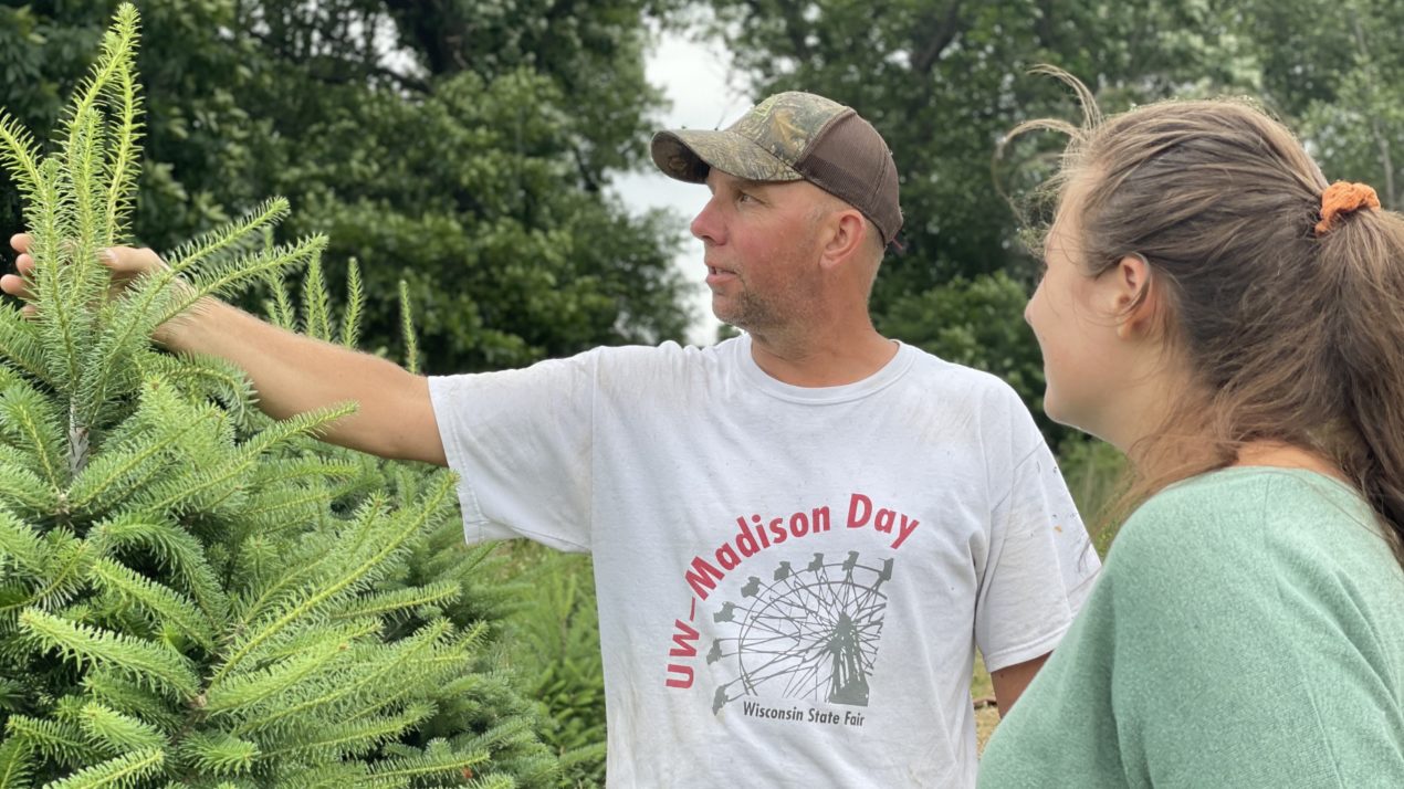 Christmas In June For Tree Farmers