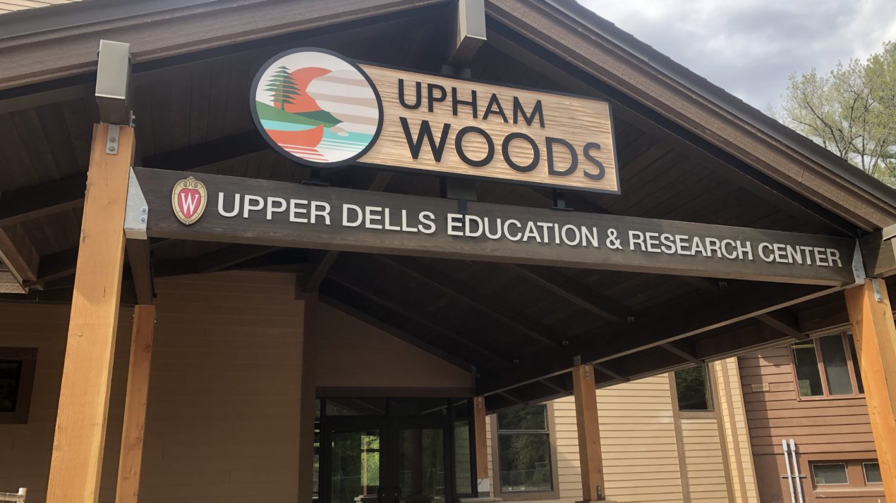 Revamped Upham Woods