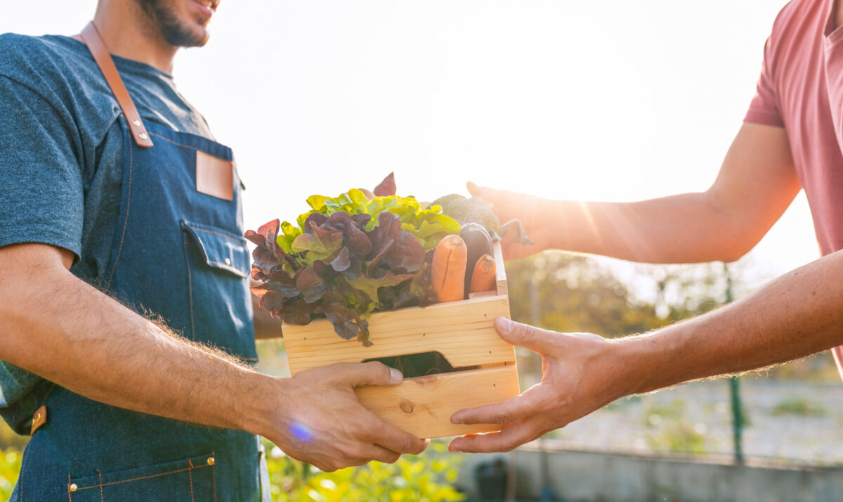 Nine Organizations Get Local Food Grants