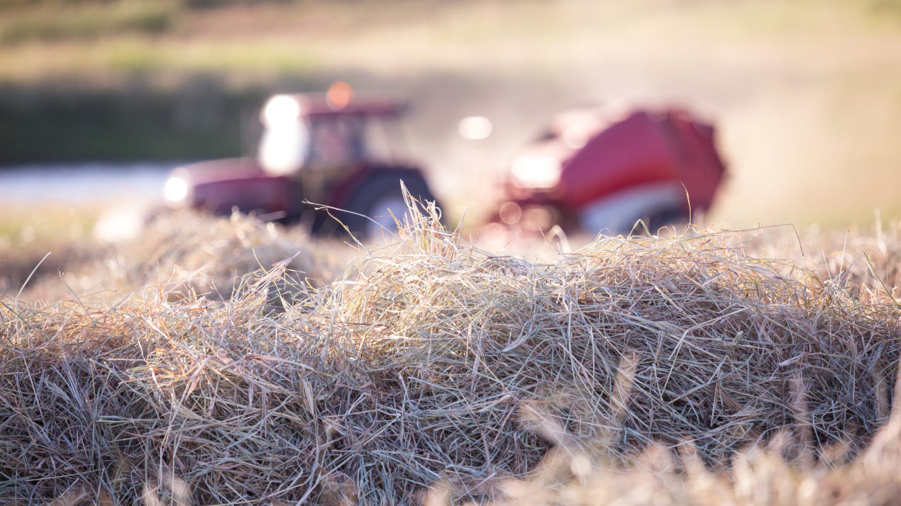 2021 Hay Prices Largely Unchanged