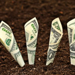 Money,Growing.,Dollars,Bill,Growing,In,Soil. average
