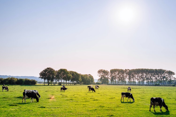 A Farmer’s Well-Being