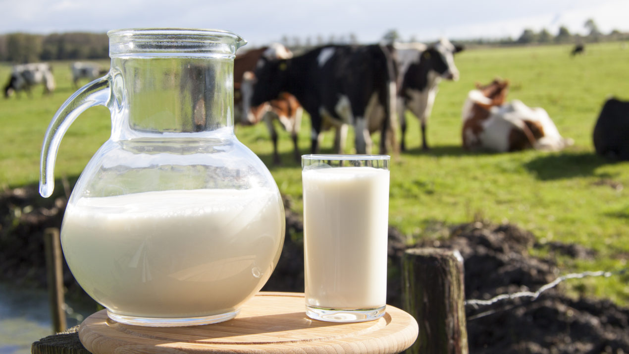 Milk Prices Trend Downward
