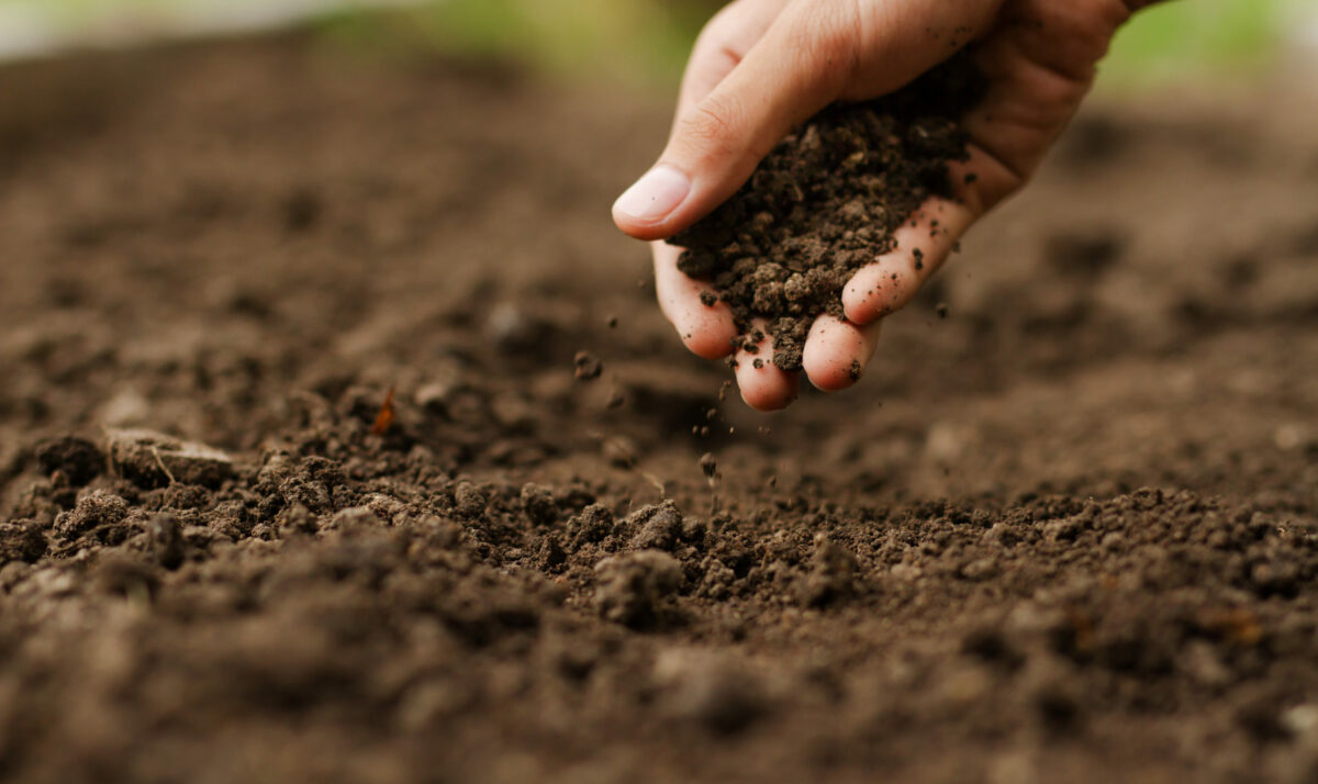 The Power of Activating Your Soil Microbes